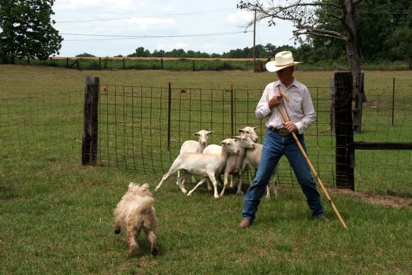 Click to see next picture