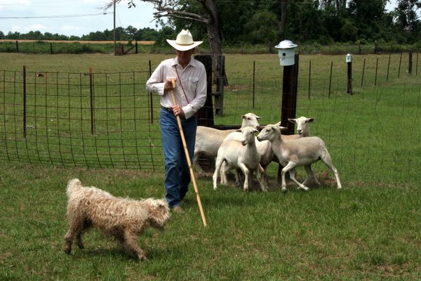 Click to see next picture