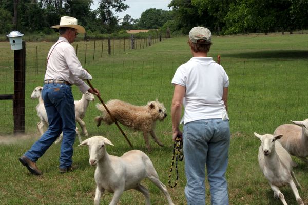 Click to see next picture