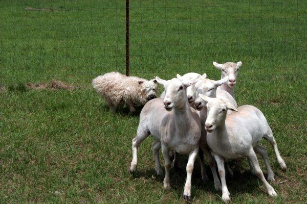 Click to see next picture