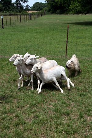 Click to see next picture