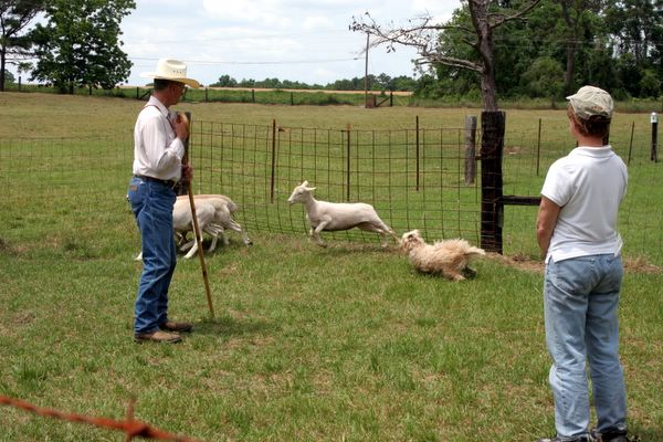 Click to see next picture