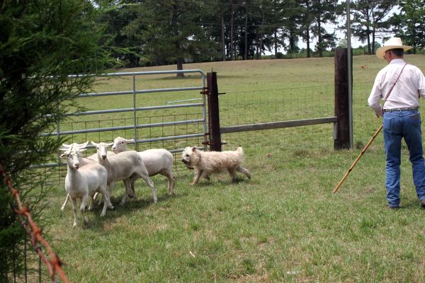 Click to see next picture