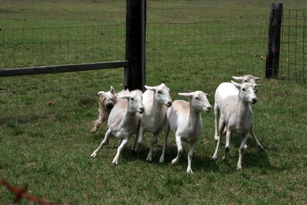 Click to see next picture