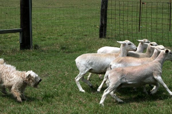 Click to see next picture