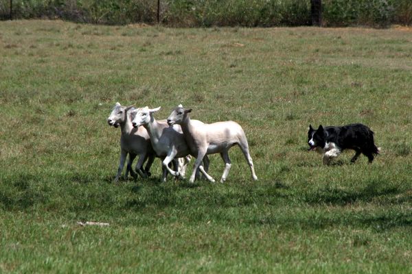 Click to see next picture