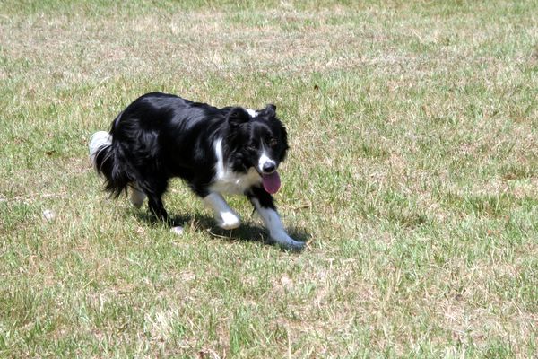 Click to see next picture