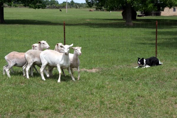 Click to see next picture