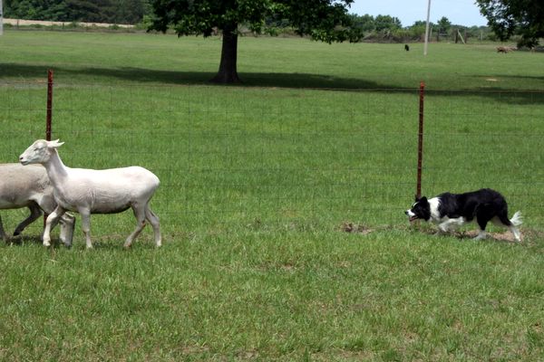 Click to see next picture