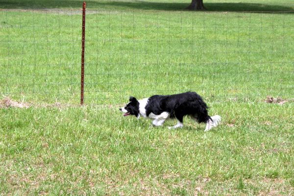 Click to see next picture