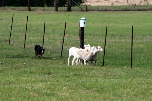 Click to see next picture