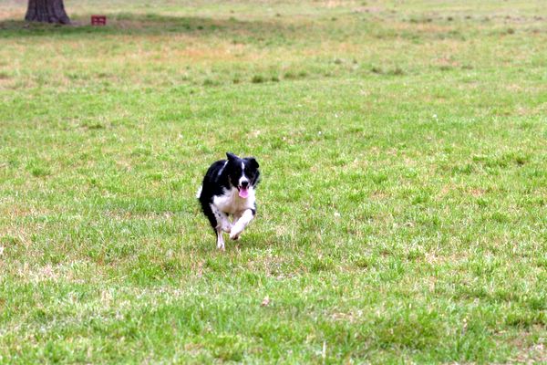 Click to see next picture