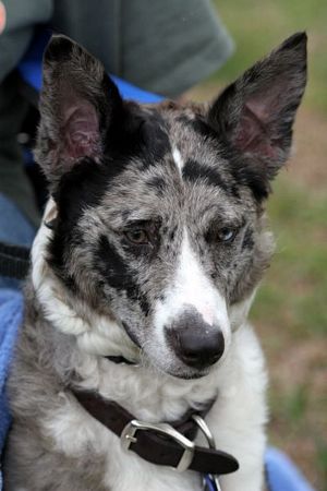 Click to see next picture