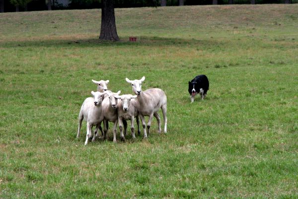 Click to see next picture