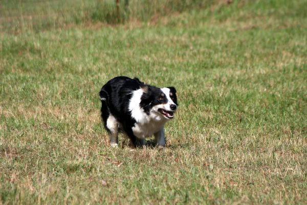 Click to see next picture