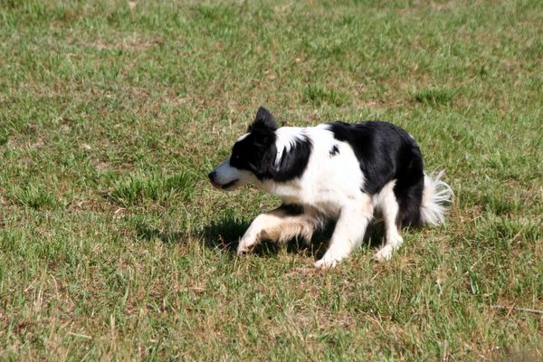 Click to see next picture