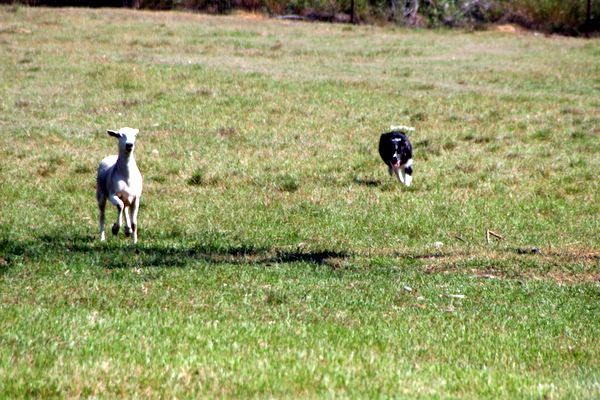 Click to see next picture