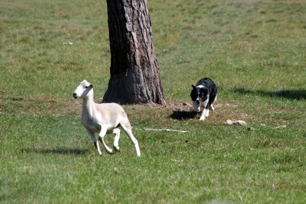 Click to see next picture