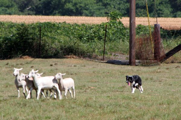 Click to see next picture