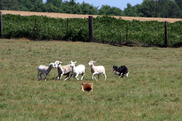 Click to see next picture