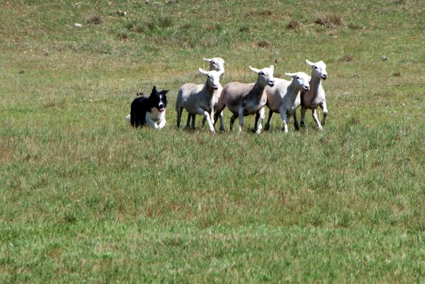 Click to see next picture