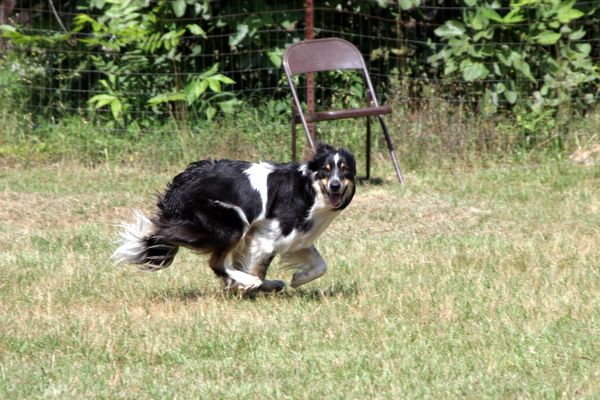 Click to see next picture