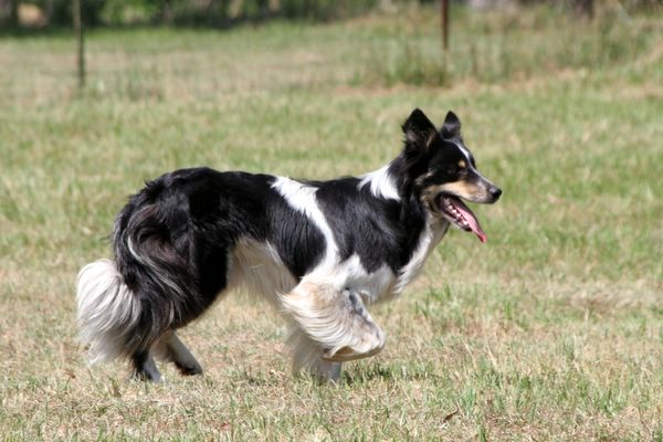 Click to see next picture