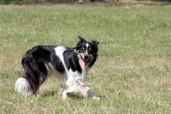 Click to see next picture