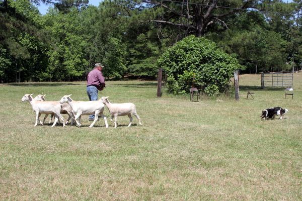 Click to see next picture