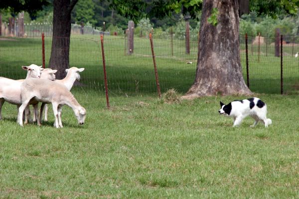 Click to see next picture