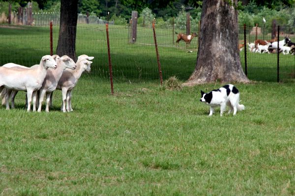 Click to see next picture