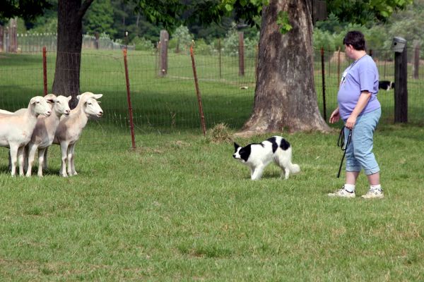 Click to see next picture