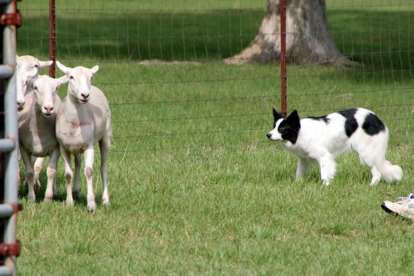 Click to see next picture