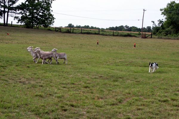 Click to see next picture