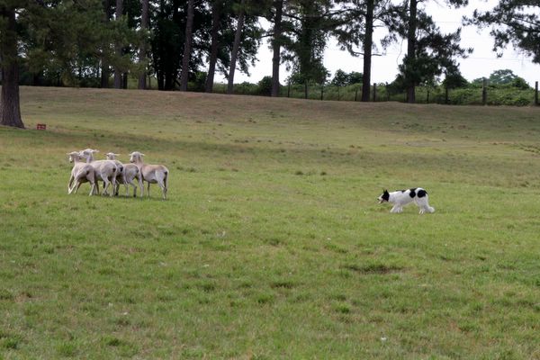 Click to see next picture