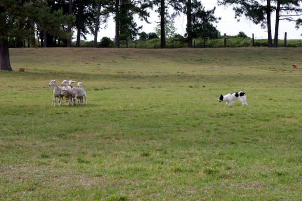 Click to see next picture