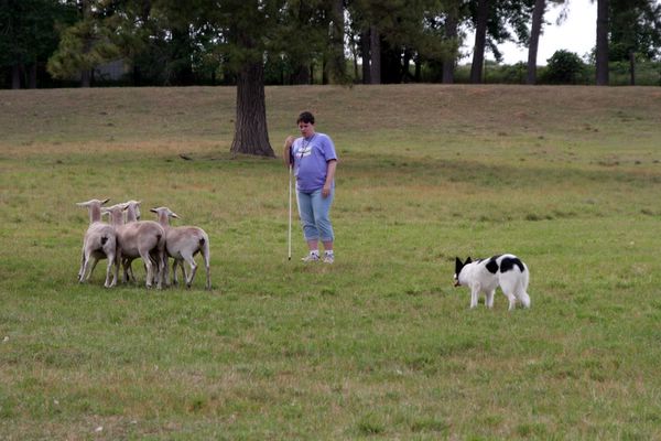 Click to see next picture