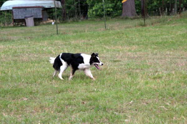 Click to see next picture