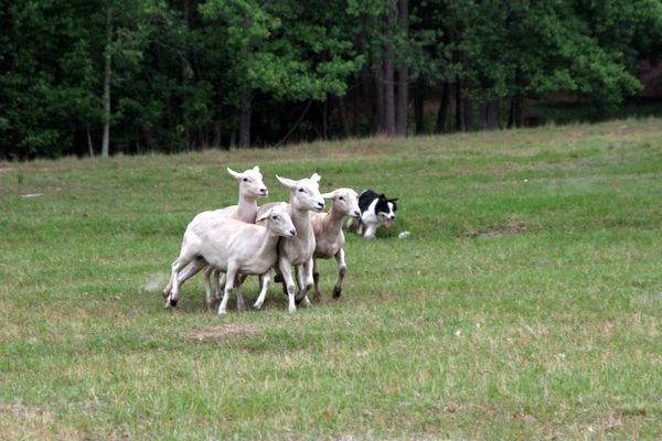 Click to see next picture