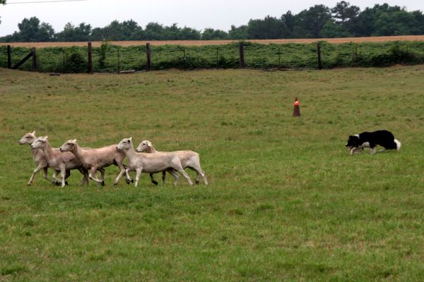 Click to see next picture