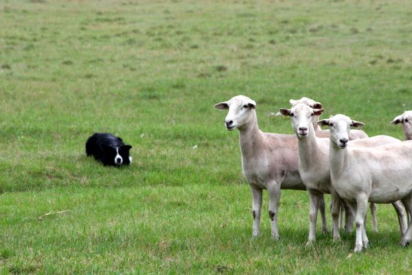 Click to see next picture