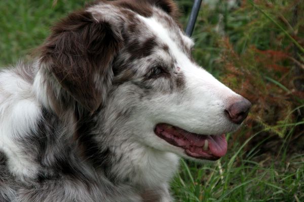 Click to see next picture