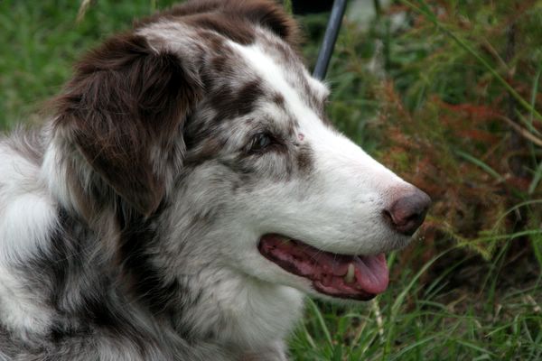 Click to see next picture