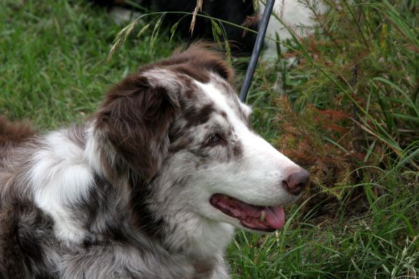 Click to see next picture