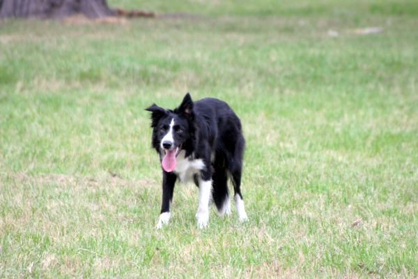 Click to see next picture