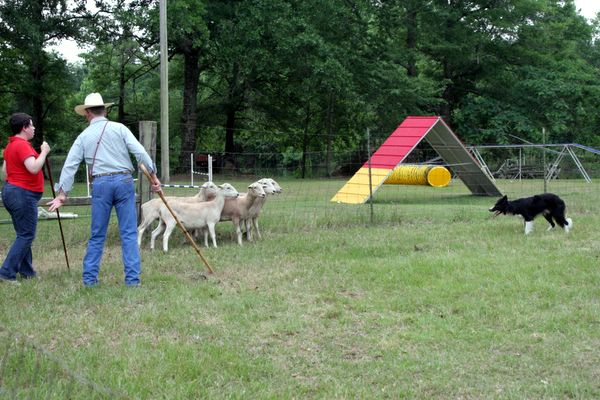 Click to see next picture