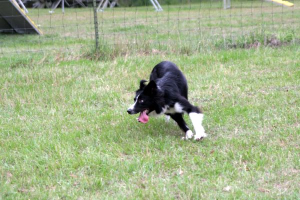 Click to see next picture