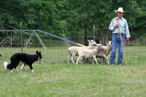 Click to see next picture