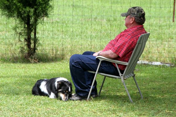 Click to see thumbs page