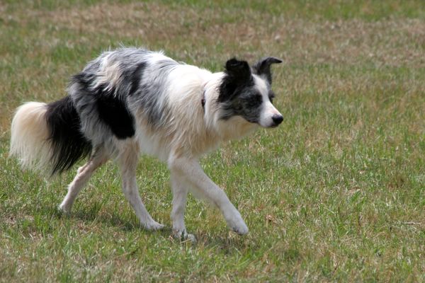 Click to see next picture